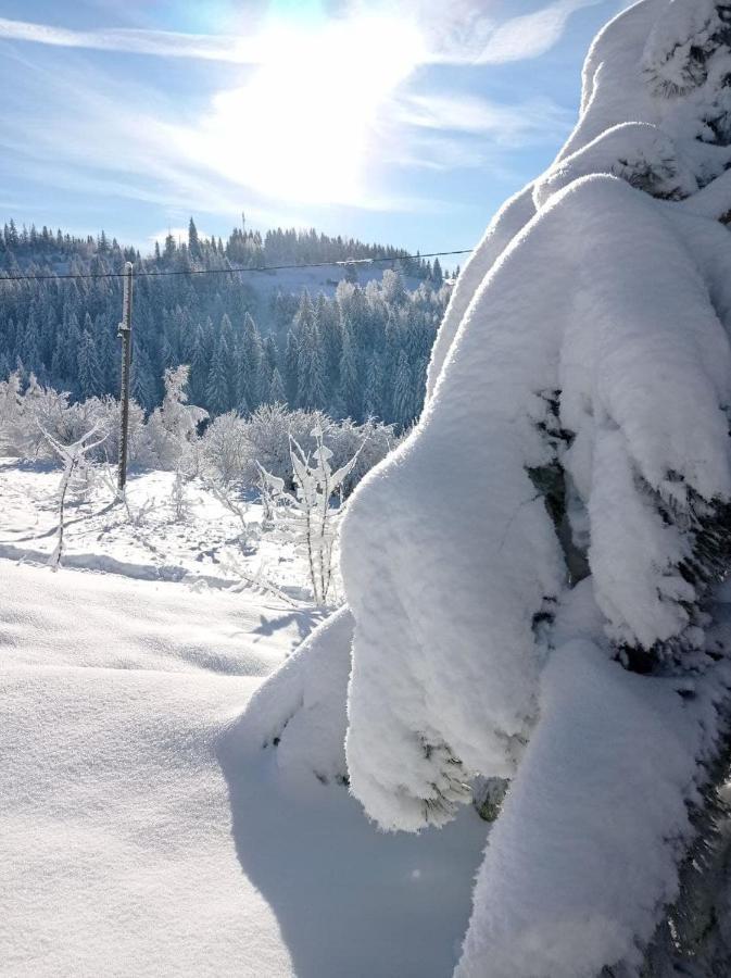 Ecottage Котедж Для Двох У Горах Із Чаном-Джакузі Slavsko Extérieur photo
