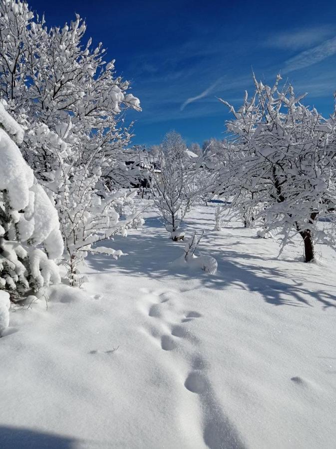 Ecottage Котедж Для Двох У Горах Із Чаном-Джакузі Slavsko Extérieur photo