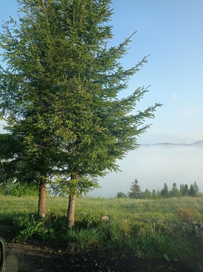 Ecottage Котедж Для Двох У Горах Із Чаном-Джакузі Slavsko Extérieur photo