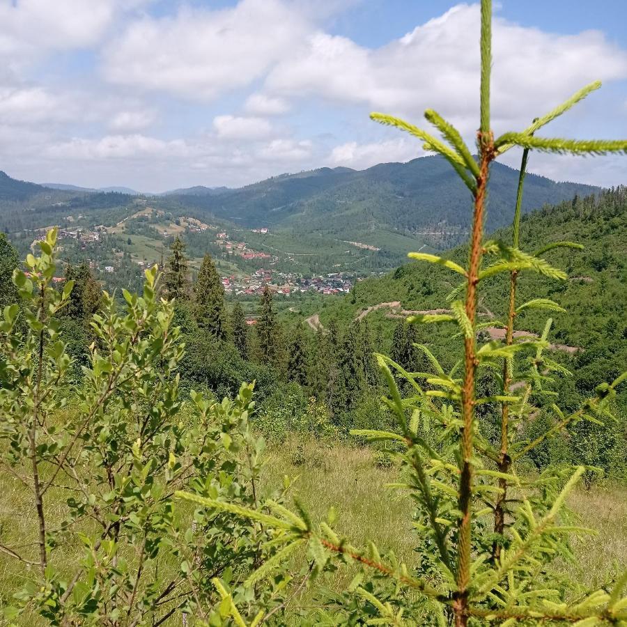 Ecottage Котедж Для Двох У Горах Із Чаном-Джакузі Slavsko Extérieur photo